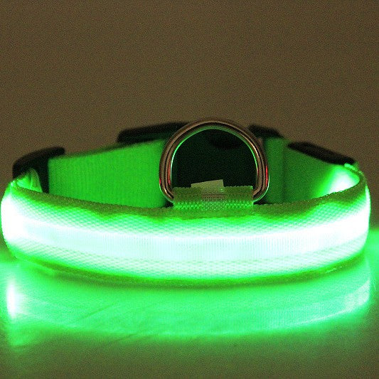 LED Glow Dog Collar Light — USB Rechargeable Night Safety Clip