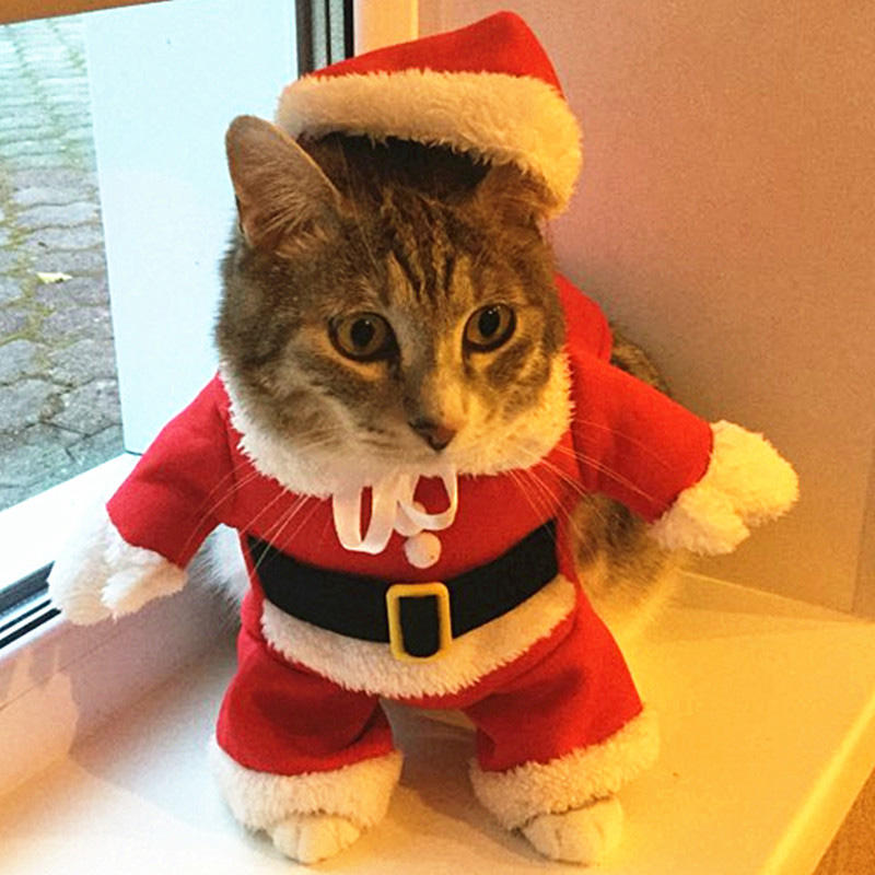 Santa Claus Dog Costume — Christmas Pet Outfit with Hat